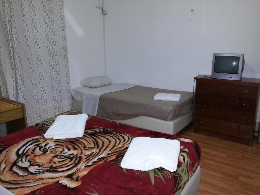 City Centre Anjos Guesthouse Lisboa الغرفة الصورة